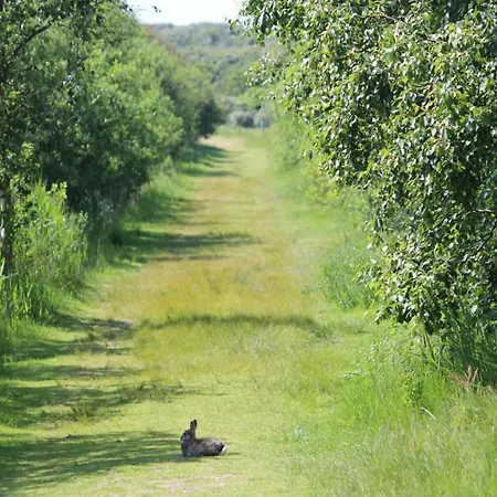 Luettjer Kaiser Comfortable Σπίτι διακοπών *