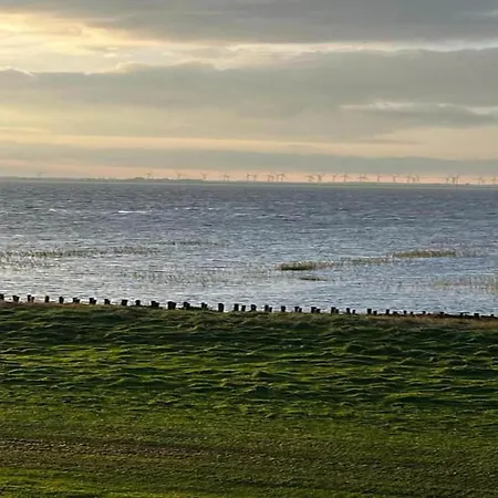 Luettjer Kaiser Comfortable