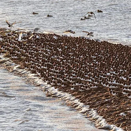 Luettjer Kaiser Comfortable *